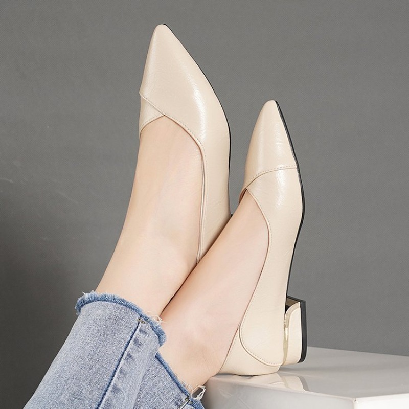 2026 Spring and Autumn New Poi – обзор и цена Women'S Shoes Professional