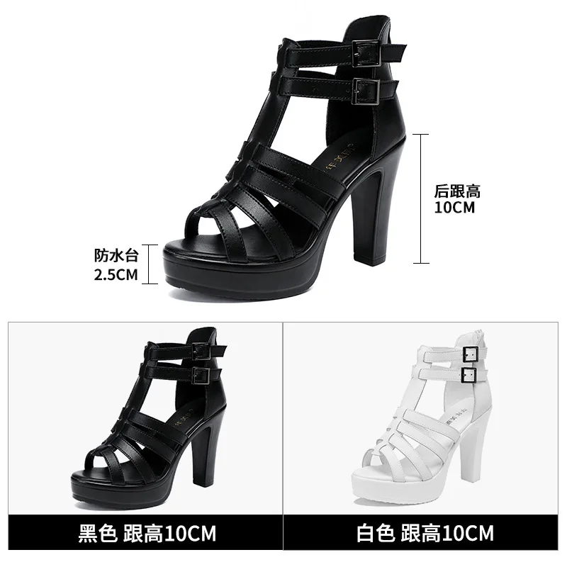 Gladiator Ladies Shoe for Wome – обзор и цена Women Shoes Formal